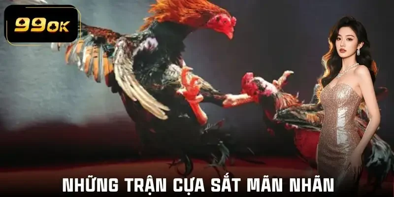 da-ga-99ok-cua-sat